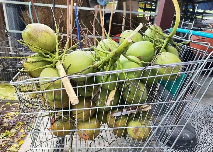 Min Land Ban Lan Nok